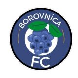 BOROVNCA FC